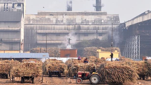 55 cows die after consuming ‘poisonous’ fodder in Amroha