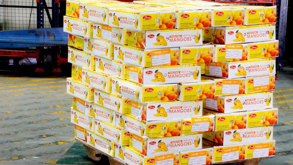 822 tonnes of mangoes exported to 60 international destinations from KIA Bengaluru