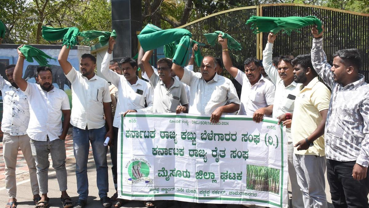 Farmers’ body opposes resumption of safari in Nagarhole and Bandipur