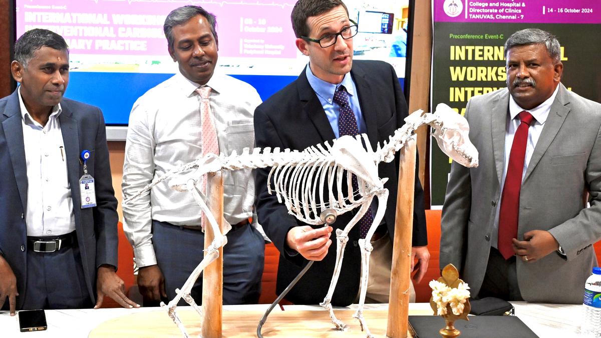 Indiscriminate breeding and congenital heart diseases in dogs