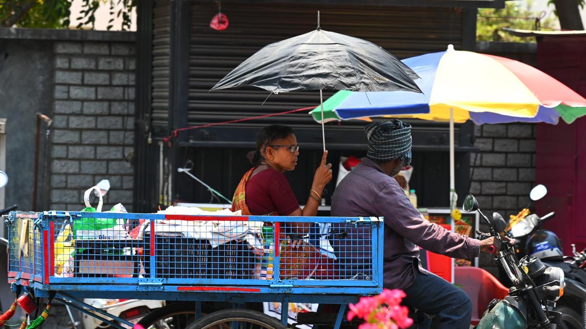 El Nino may not make an exception for A.P., say weather experts
