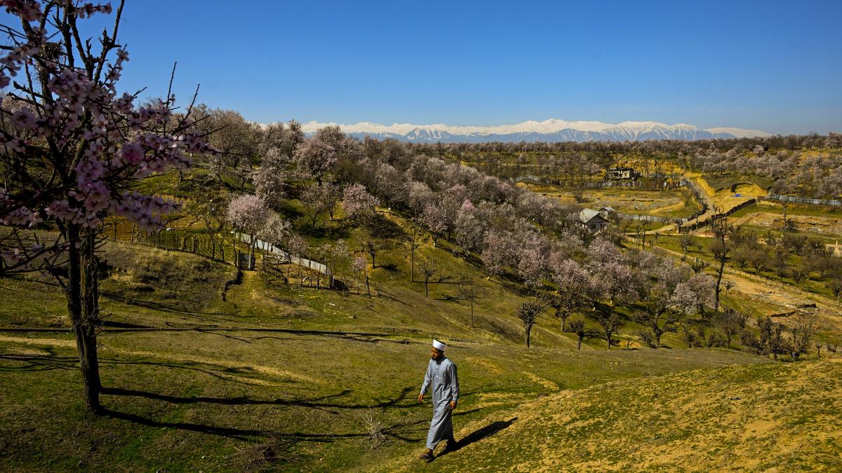 In frames | Nutty delight