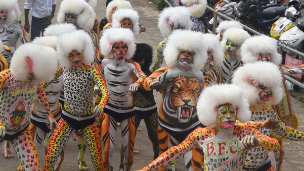 Video | Tiger dance competition in Mangaluru highlights