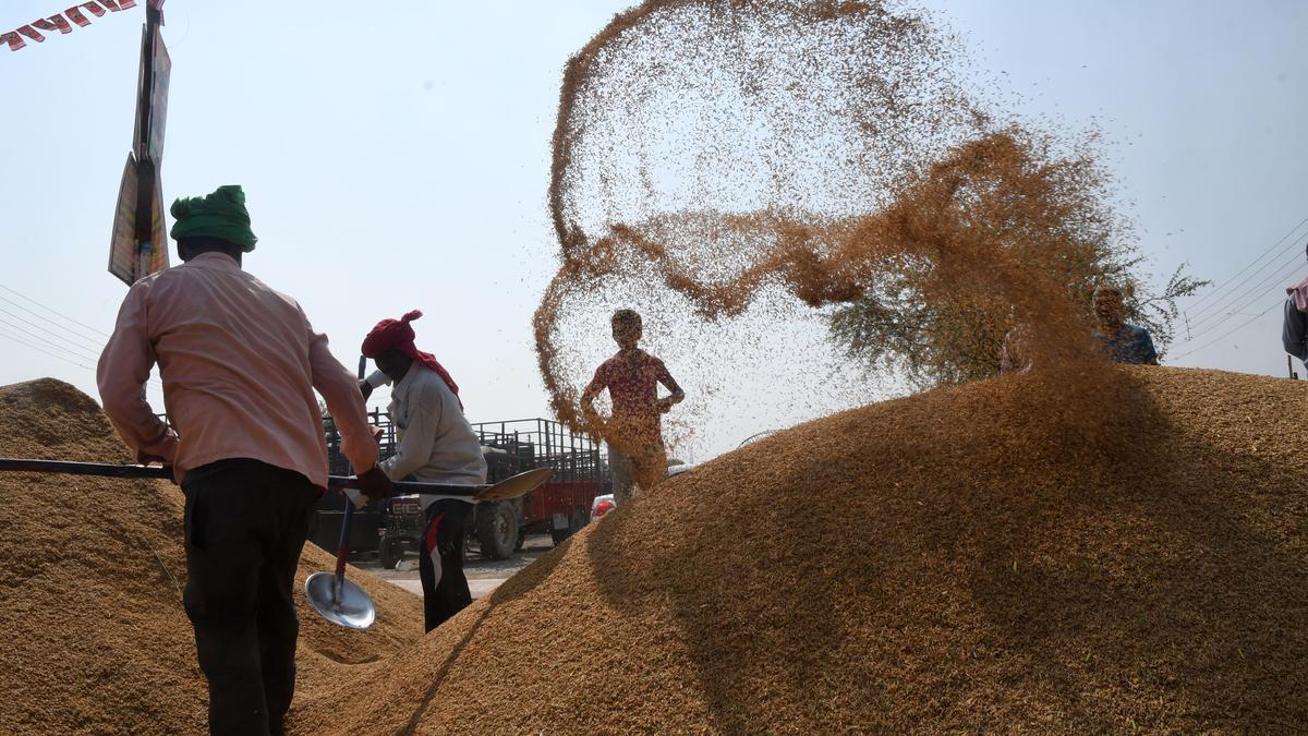 India imposes 20% export duty on non-Basmati rice - The Hindu