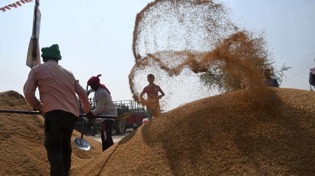 India imposes 20% export duty on non-Basmati rice