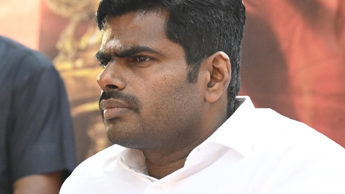 Annamalai hits out at Stalin over delimitation fears