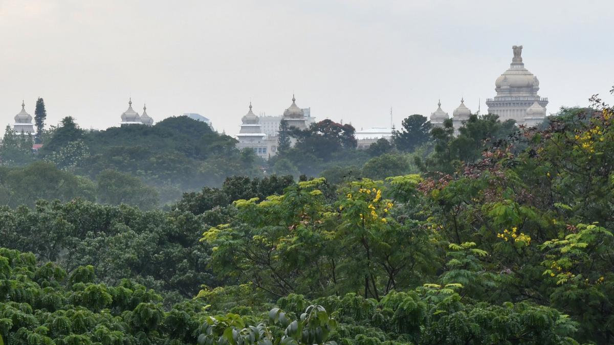 Petition to stop construction of proposed 10-storey building inside Cubbon Park in Bengaluru