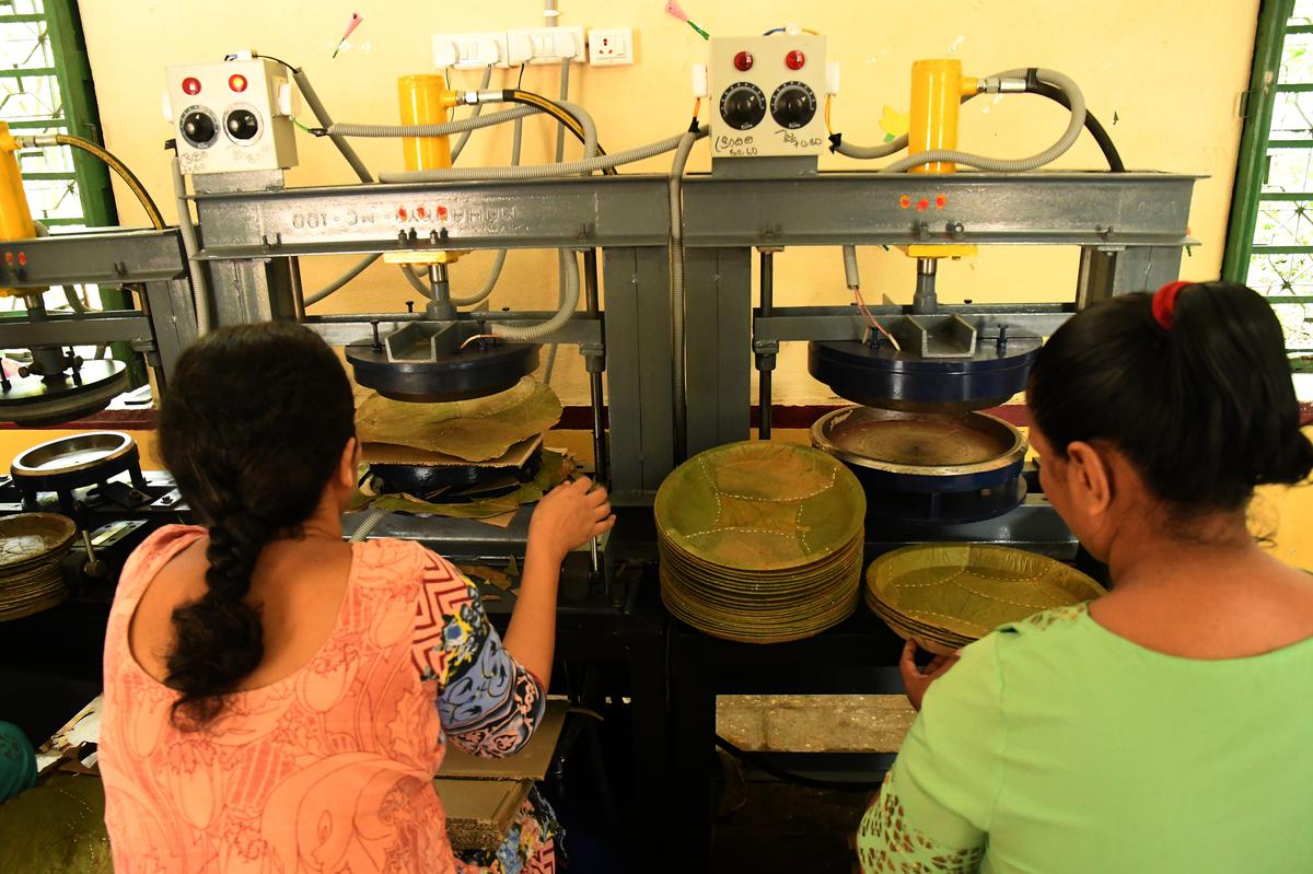 Women make eco-friendly plates