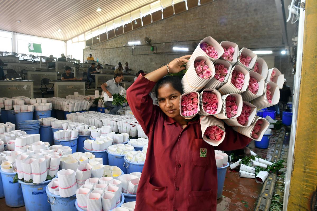 A variety of roses kept ready for auction in Bengaluru on Tuesday.