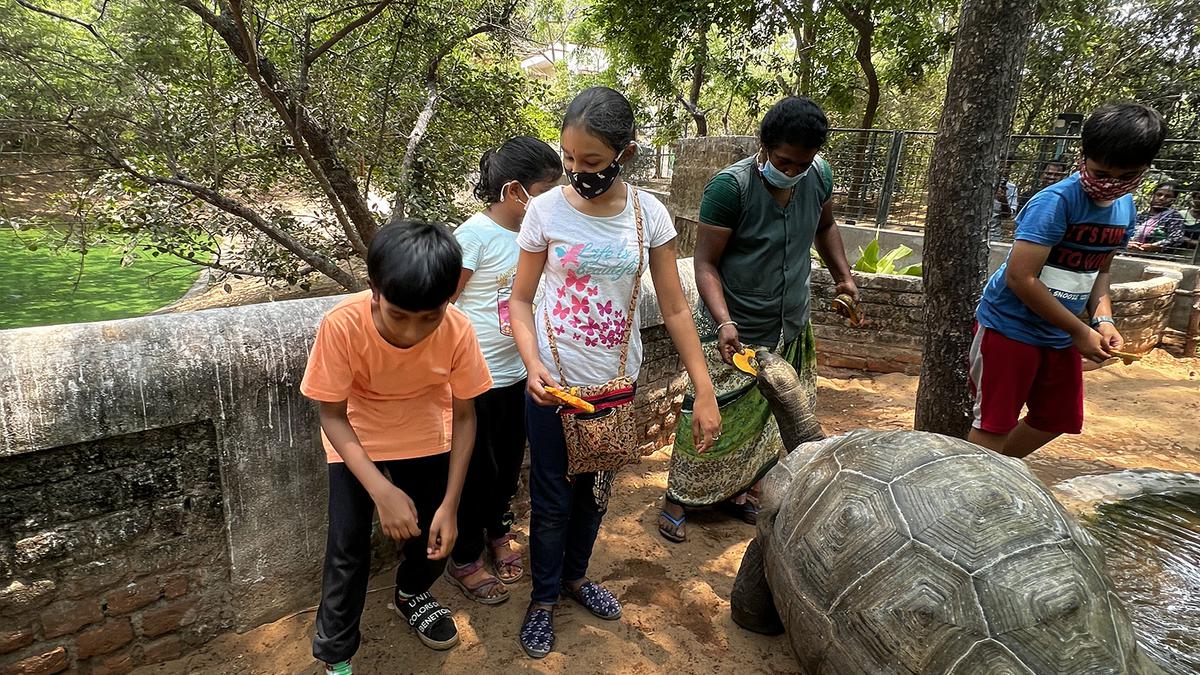 Indian zoos: seeds of wildlife conservation