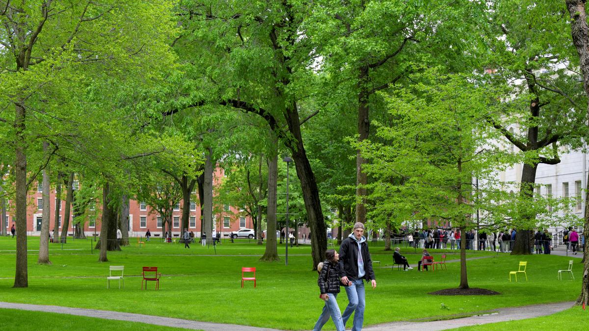Harvard to comply with Trump administration demand to turn over employment forms
