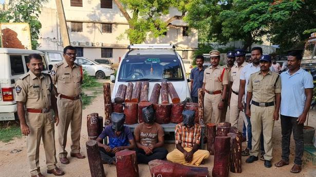 Red sanders logs worth ₹20 lakh seized, 3 held in Chittoor