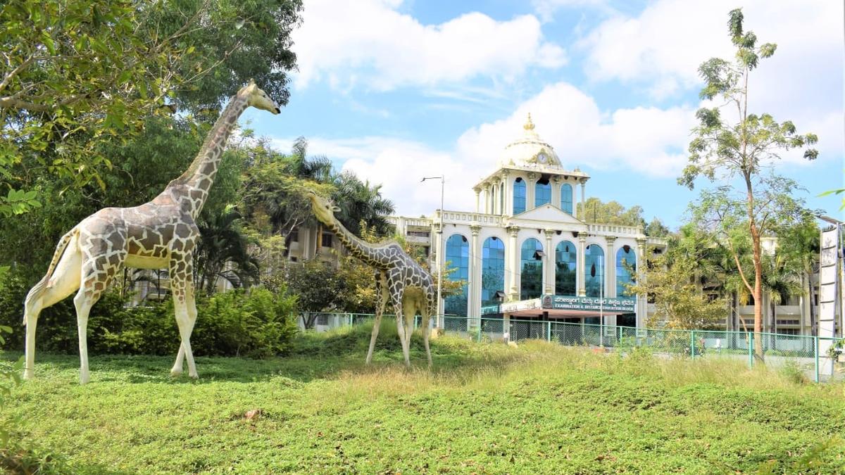 Delay by Kuvempu University in declaring final semester results hits students keen on higher studies