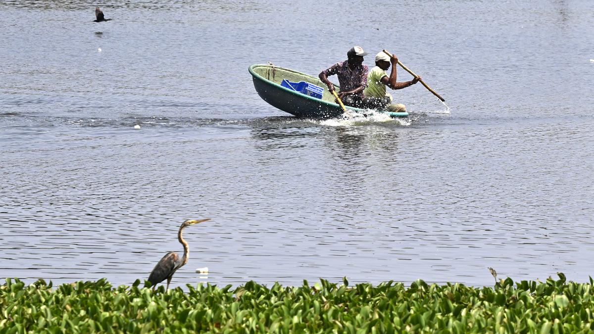 Activists raise concerns over fishing and pollution in Coimbatore’s lakes