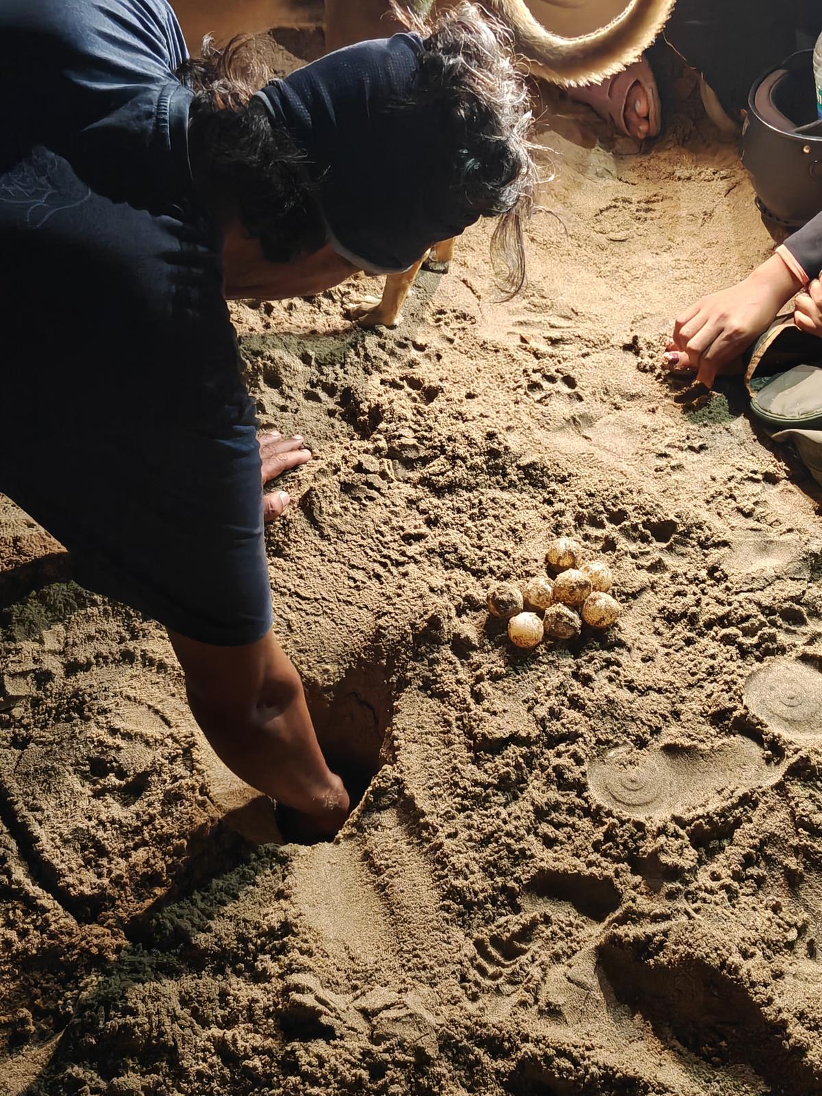 Conservation along Chennai’s coast is sustained by volunteers, students, working professionals, and concerned citizens who give up their weekends to walk through the night. 