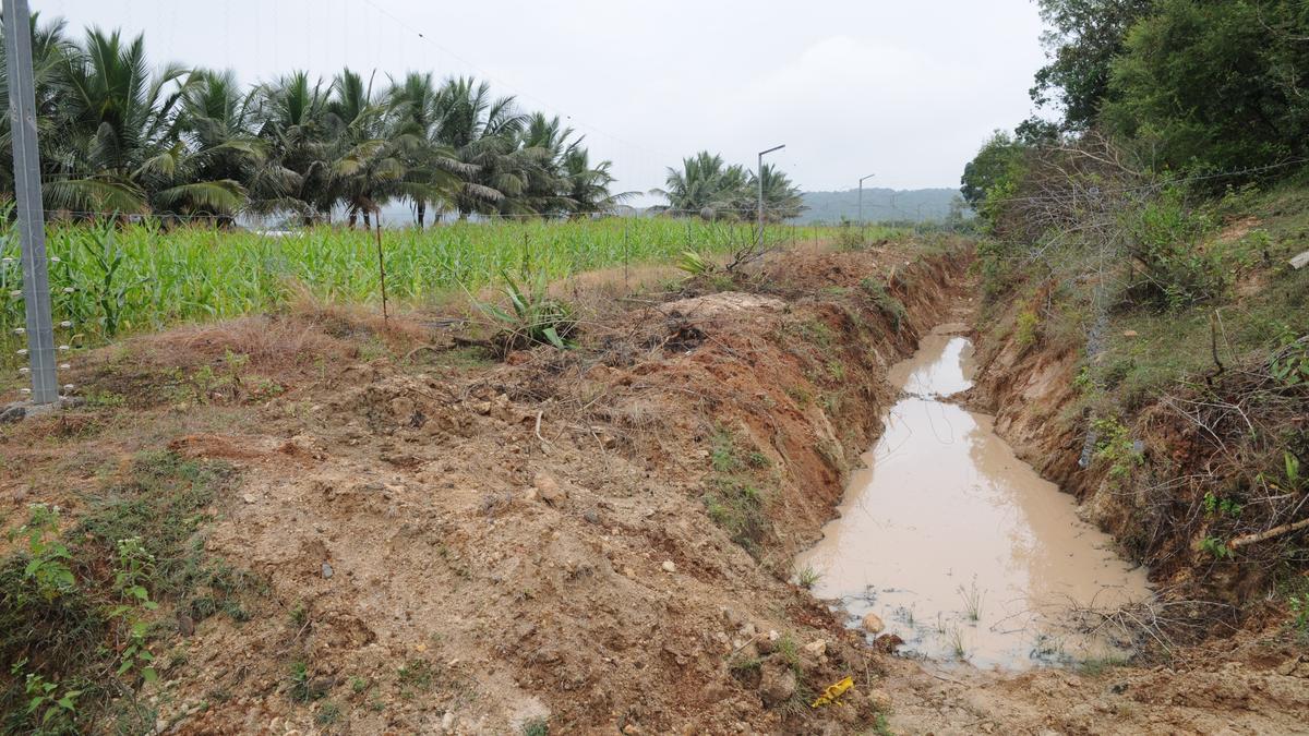 More elephant-proof trenches to be dug to prevent human-animal conflict in Talavadi hill