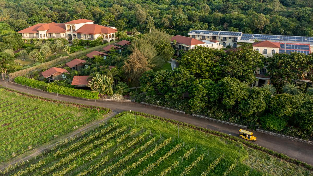 SulaFest 2026 returns to Nashik for its 15th edition with a focus on homegrown music