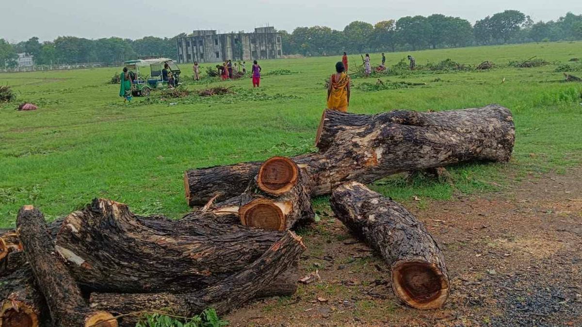 Environment activist raises concern over cutting of trees in Bihar’s Magadh University for PM’s meeting