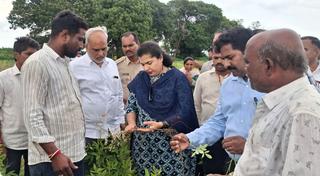 JD(S) leader Nikhil Kumaraswamy demands ₹25,000 per acre compensation for  rain-hit farmers in Karnataka - The Hindu