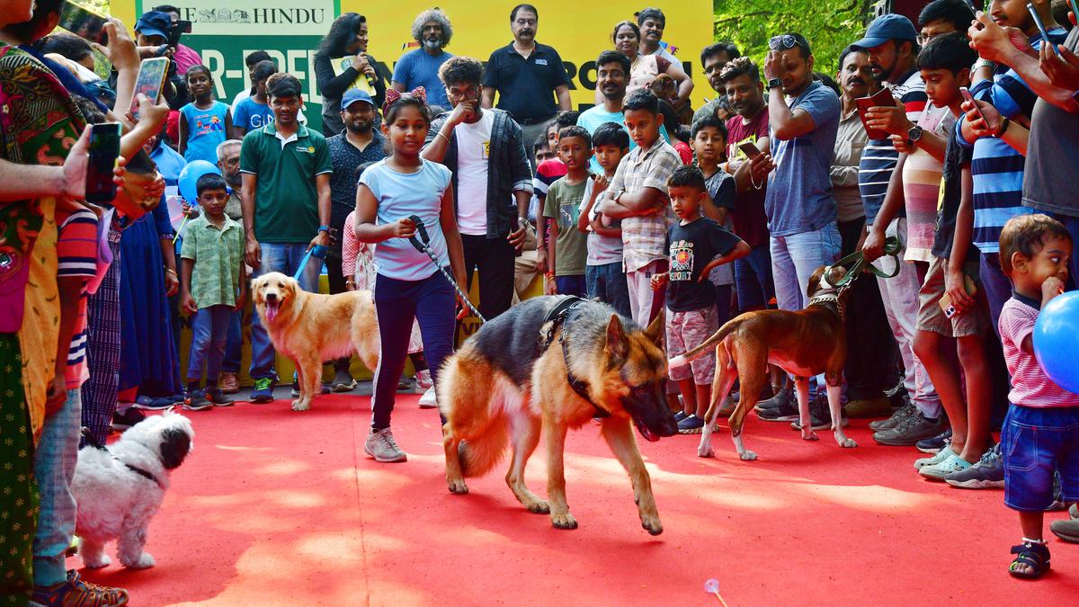 The Hindu Car-Free Sundays offers platform for pet lovers to meet and exchange ideas