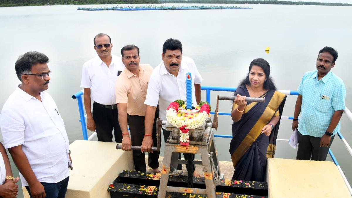 Sluice gates of Barur lake in Krishnagiri opened for irrigation