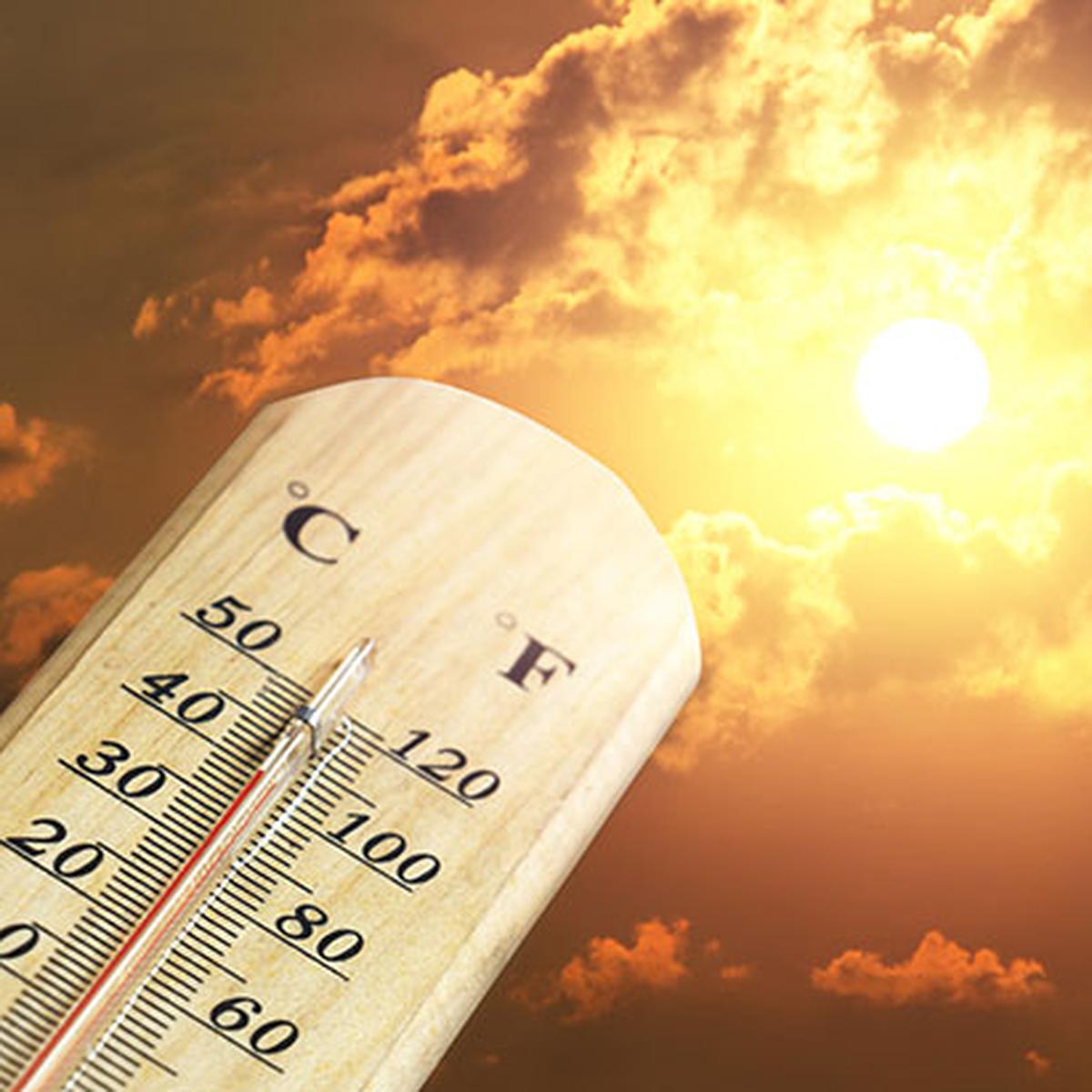 Focus on heat-resilience despite the monsoon - The Hindu