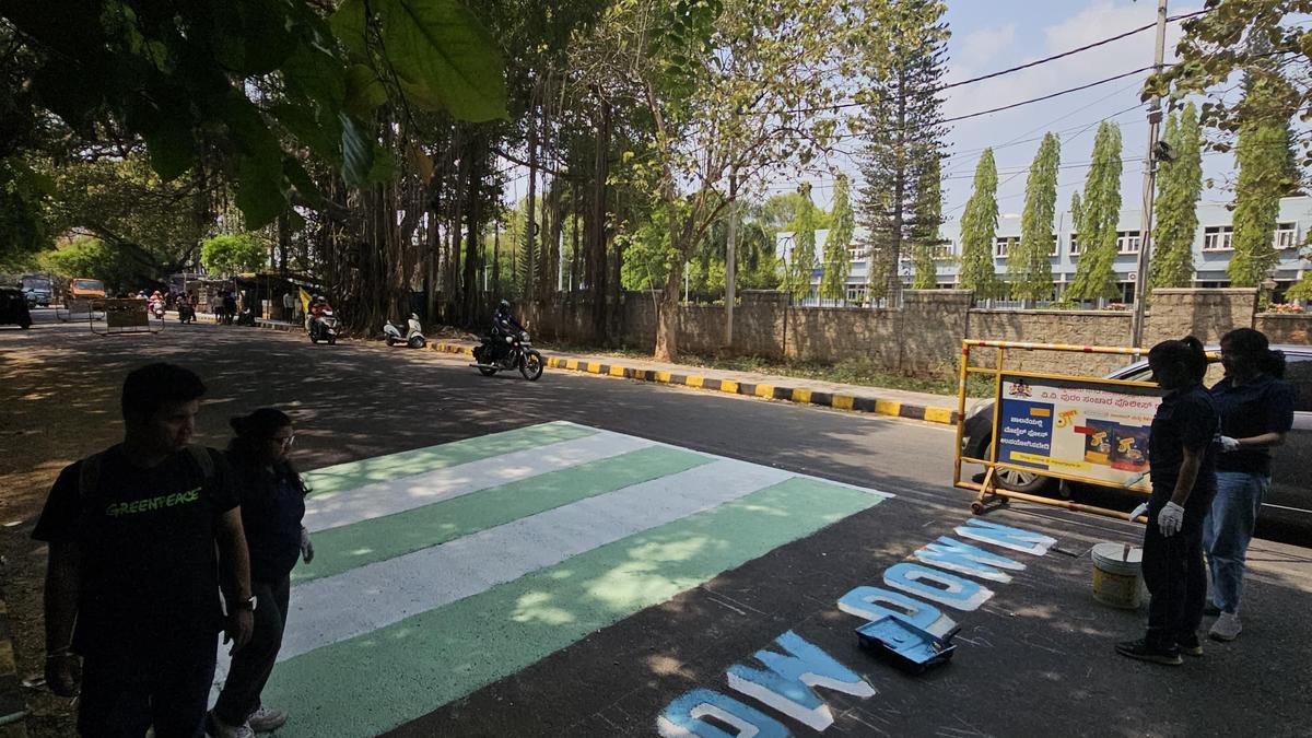 Participatory road design proposed for Bogadi Road junction