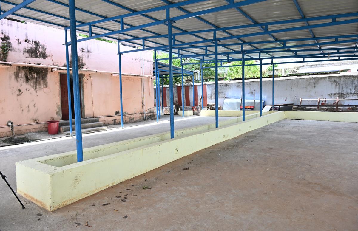 A place of ignominy: The secluded place adjacent to the temple where Ajith Kumar was tortured. Eyewitnesses at the temple say they heard him scream in pain from the thrashing he received.
