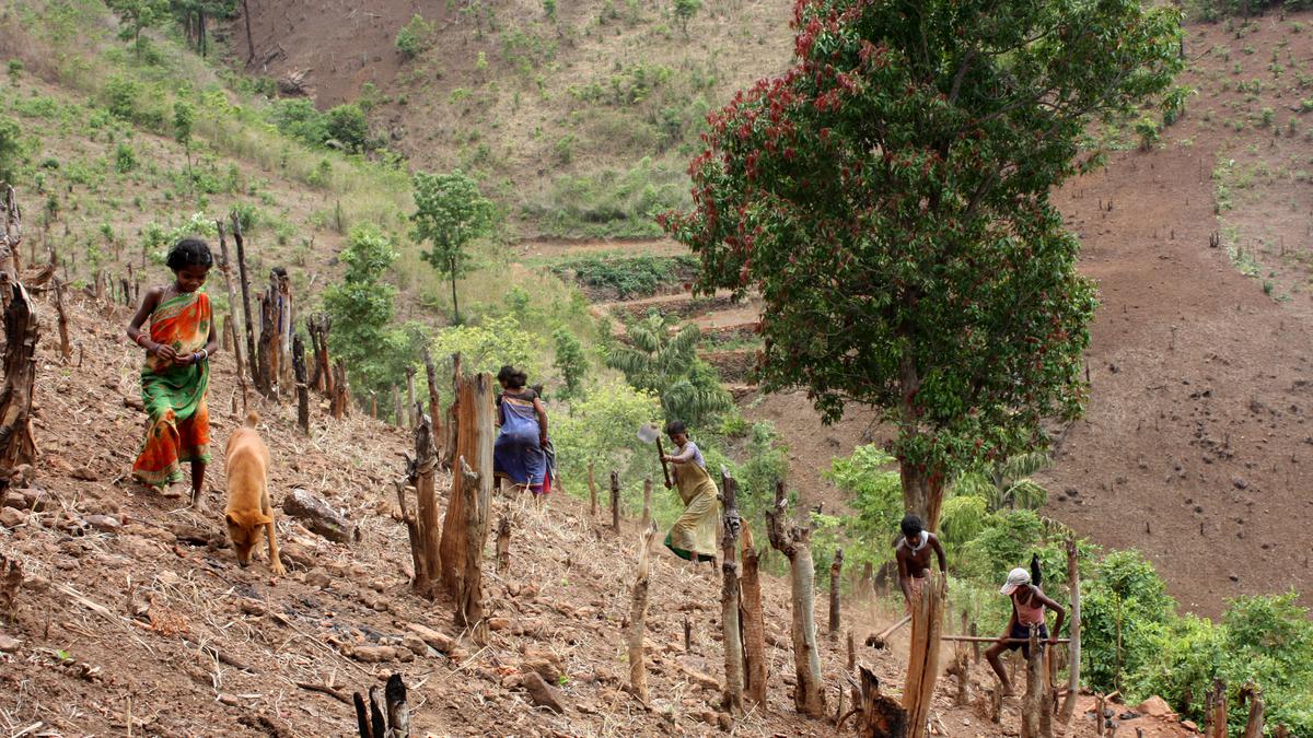 Andhra Pradesh: A Holistic Approach To Save Forests In Eastern Ghats ...