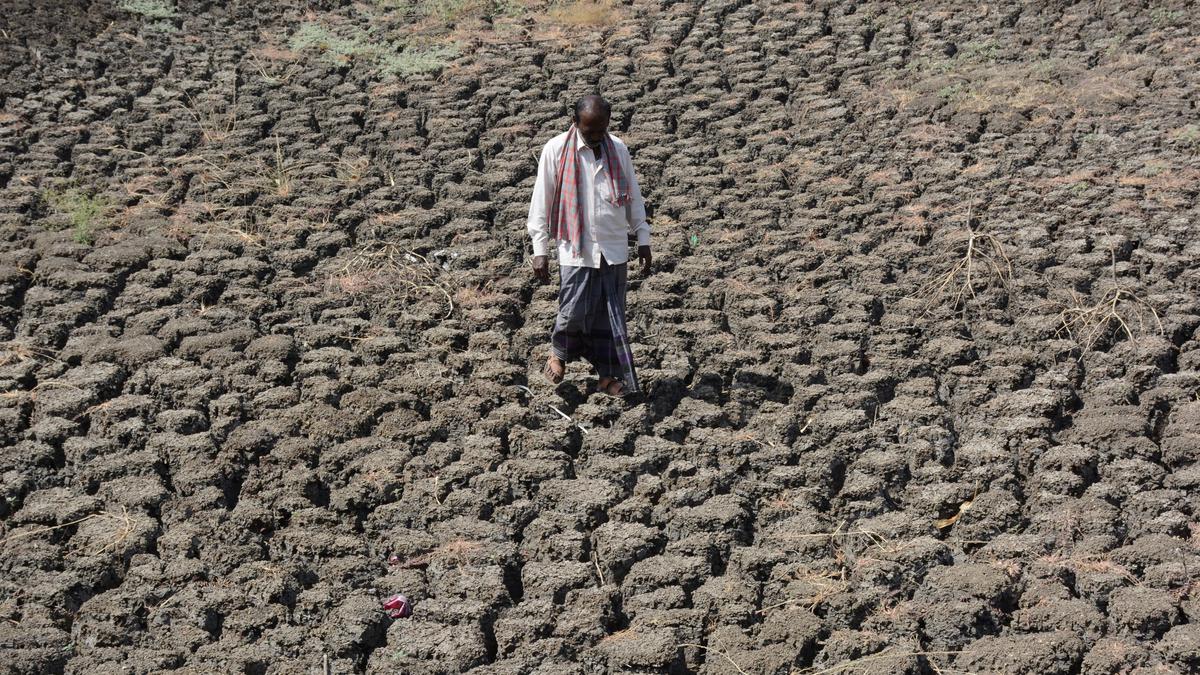 Amid drought, a political slugfest in Karnataka
Premium