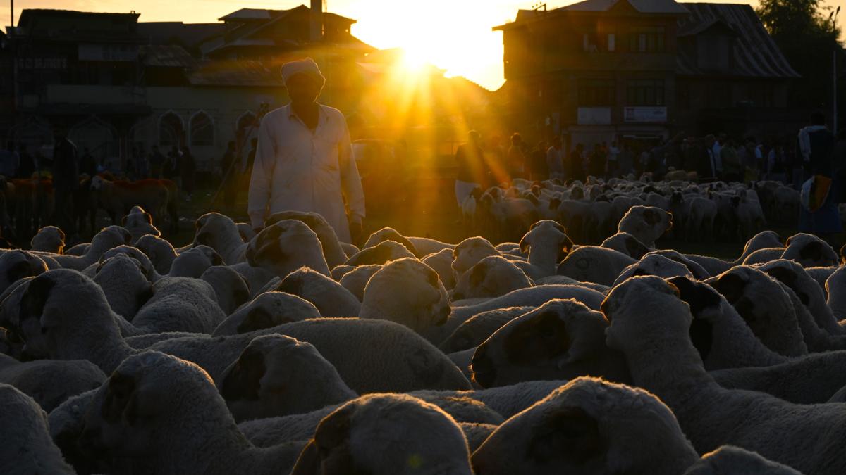 https://th-i.thgim.com/public/incoming/icdtk4/article69656817.ece/alternates/LANDSCAPE_1200/12205_1_6_2025_20_46_4_5_15_KASHMIRFESTIVAL_SGR_01_06_2025.JPG