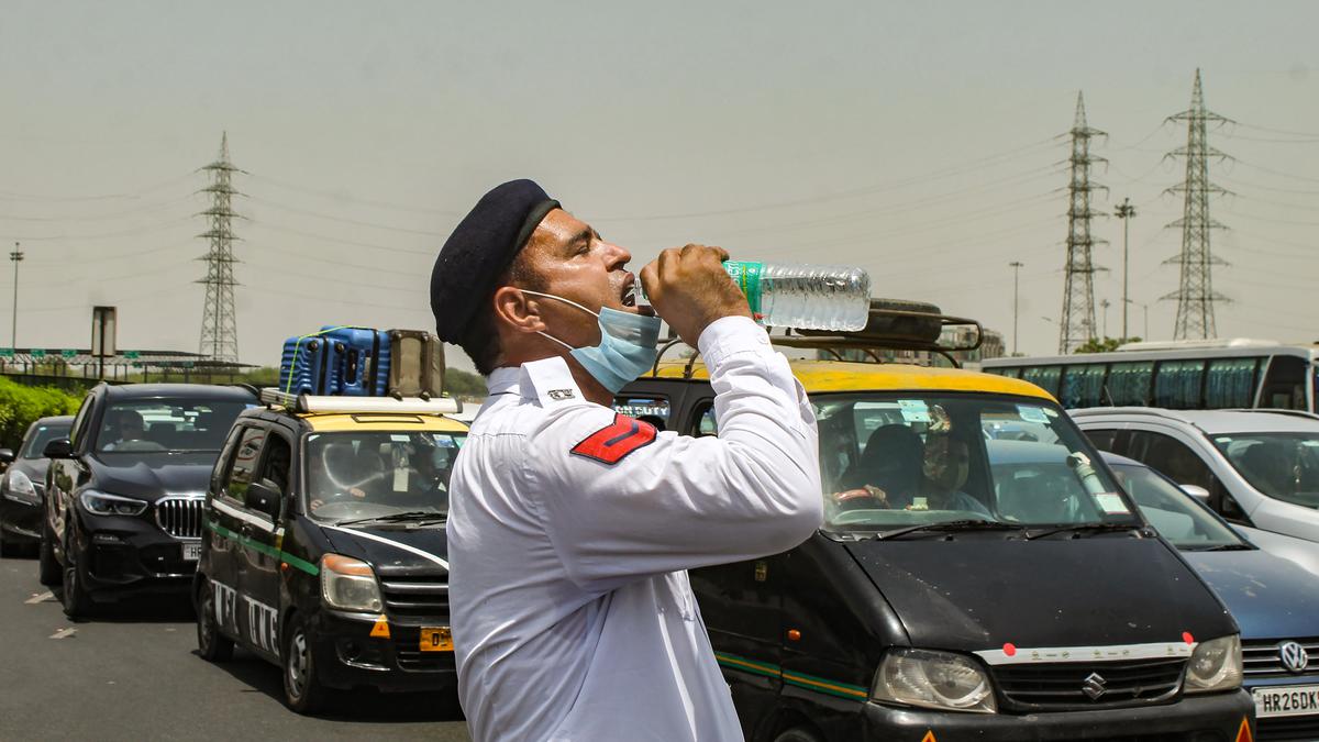 Explained | IMD is already sensing heat waves. What are they and why do they happen?
Premium