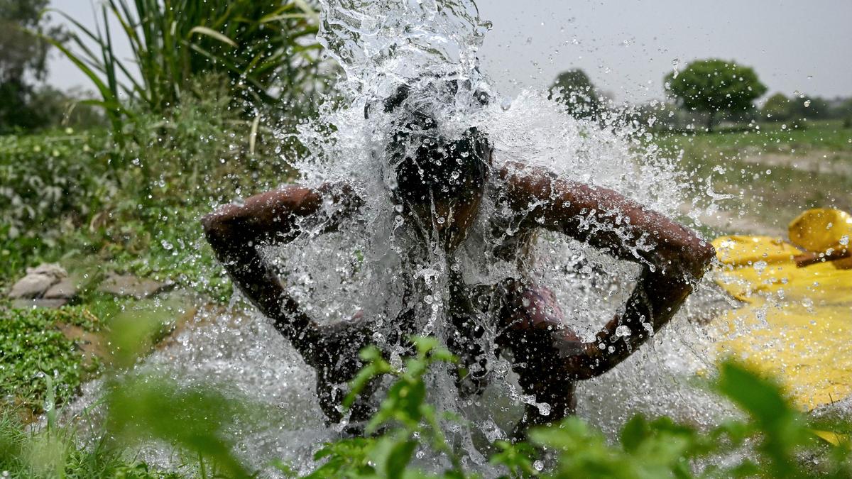 Heatwave observed in May 1.5°C warmer than previous ones: ClimaMeter