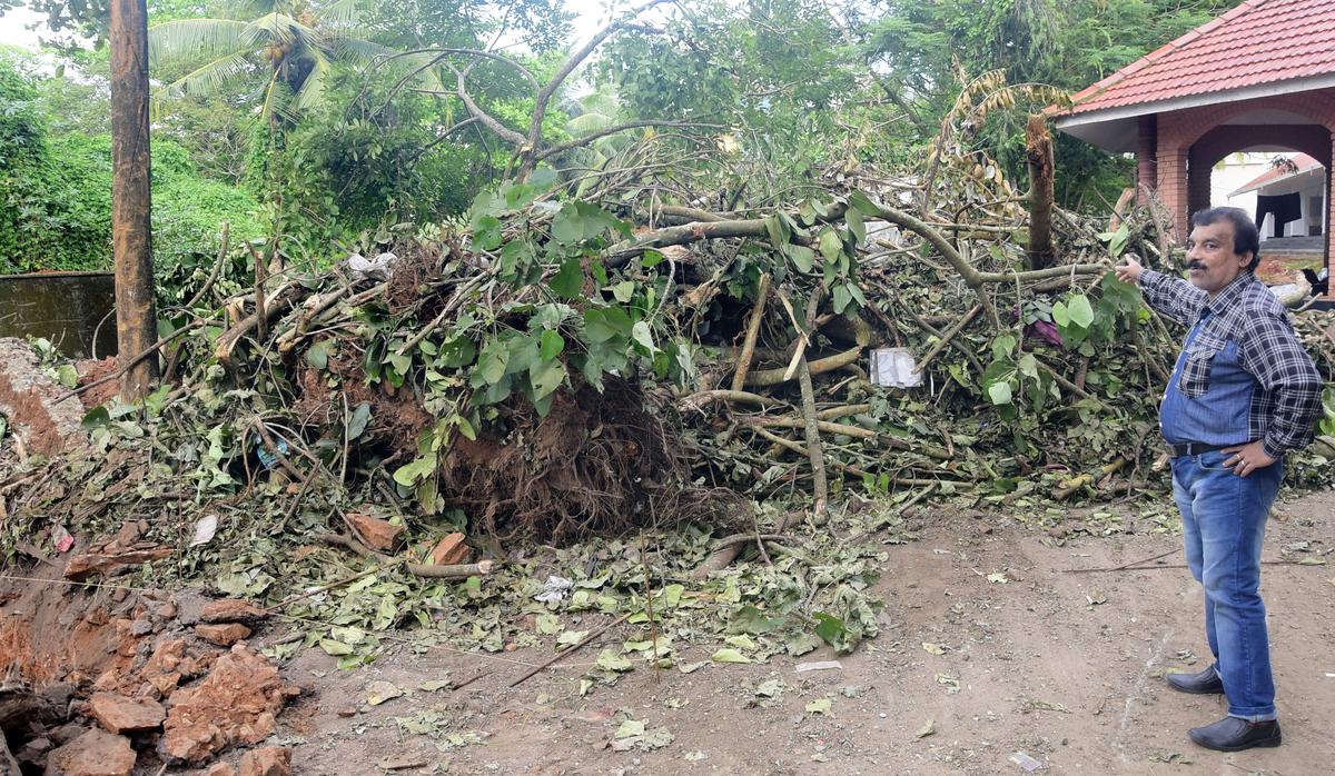 Man who planted about 150 trees on crematorium premises alleges raw deal from Kozhikode Corpn.