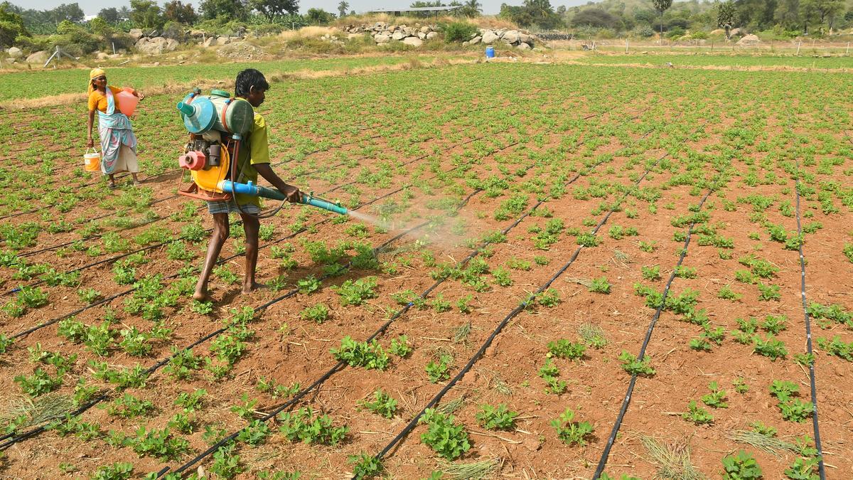 Smart Irrigation Plan can save 10-30% of irrigation water in drought-prone regions: IIT Bombay research​