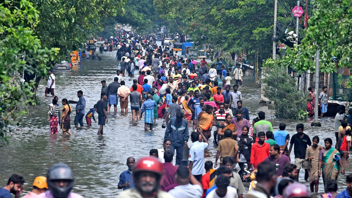 Cyclone Michaung | A post-facto analysis of what MLAs think went wrong in their constituencies in and around Chennai.