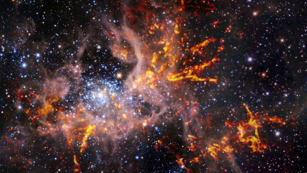 The mystery behind supernova SN 1181