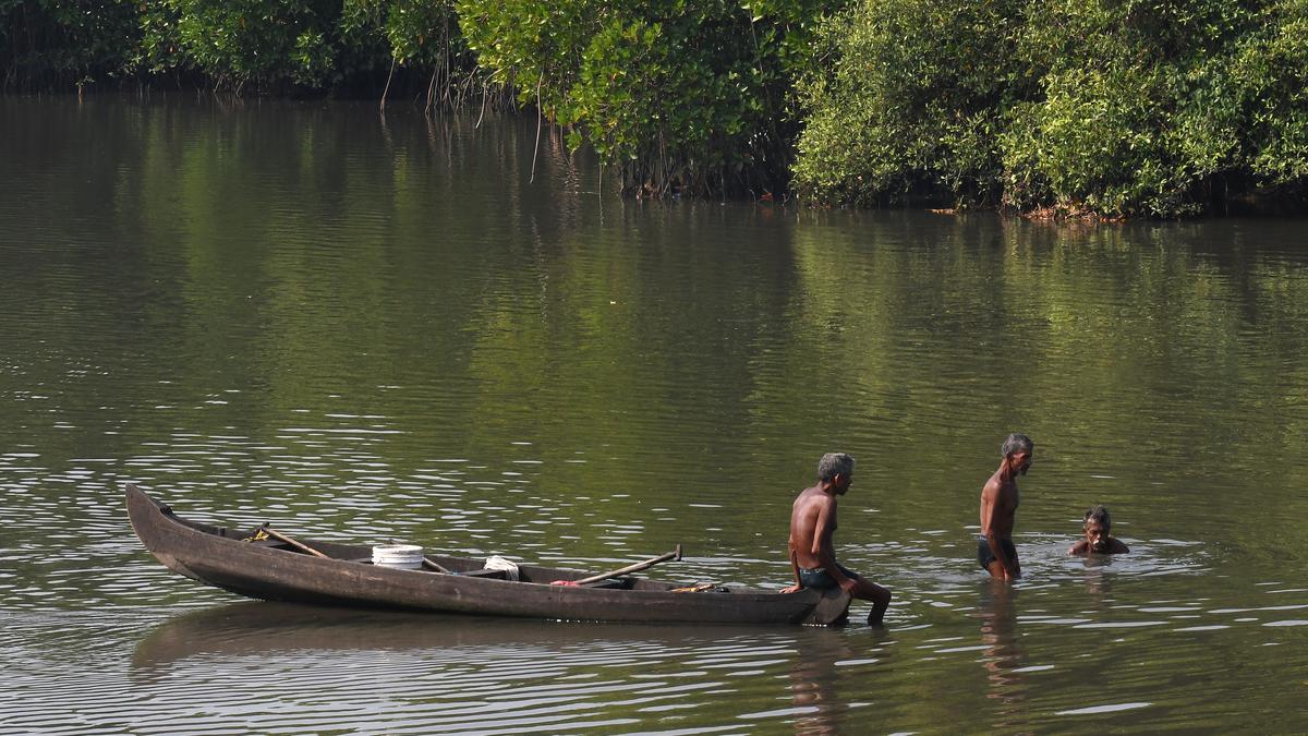 High levels of faecal contamination reported in Kochi’s Vembanad Lake