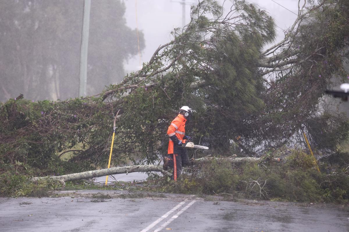 A worker repairs power lines damaged due to a fallen tree following heavy rainfall before the landfall of Cyclone Alfred, at Chinderah, in Northern New South Wales, Australia, on March 6, 2025. 