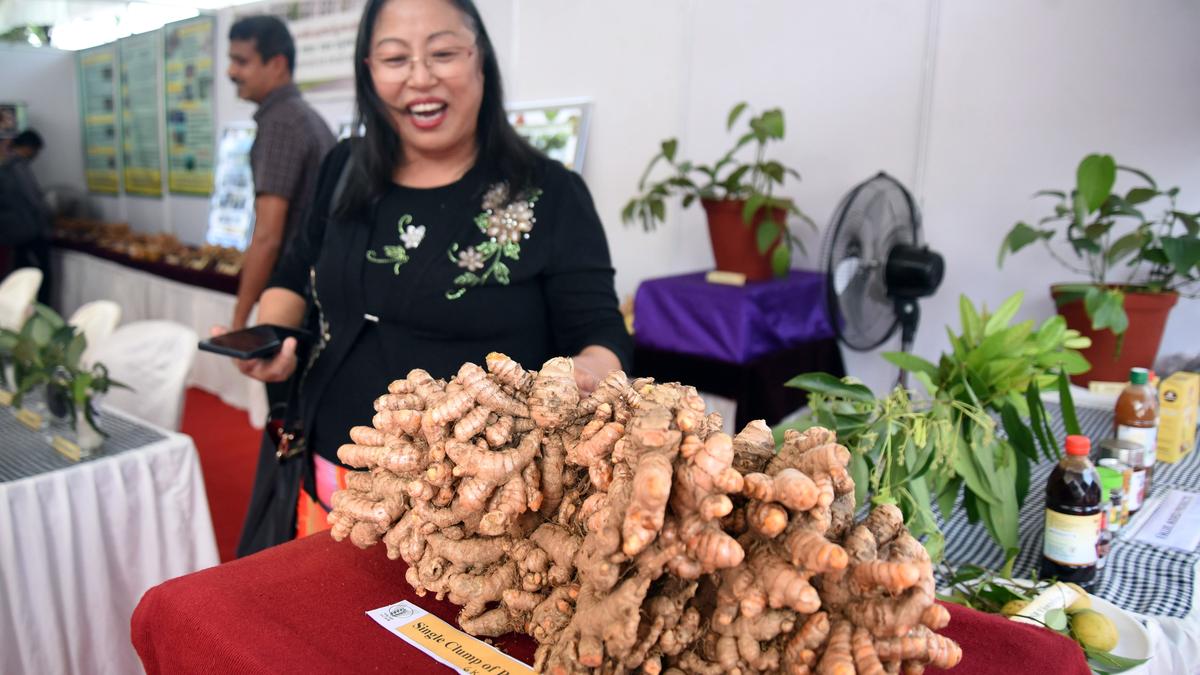 Spice industry urged to adapt to modern technology