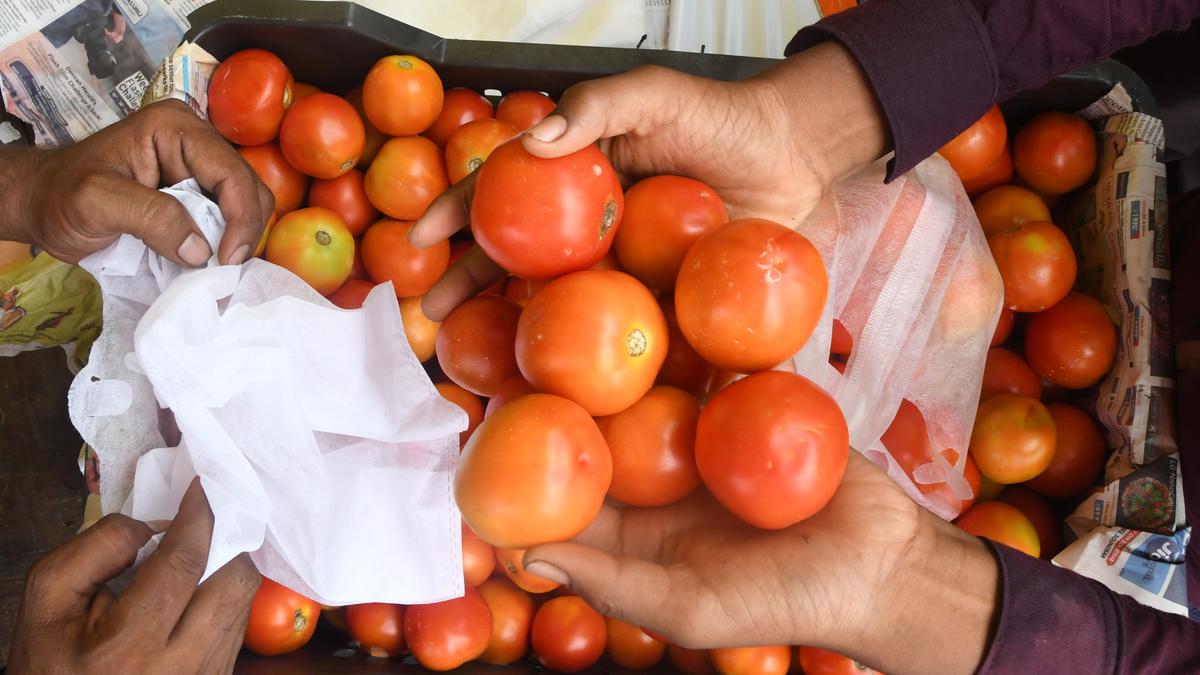Government reduces subsidised tomato price to ₹80/kg with immediate effect in Delhi-NCR, other locations