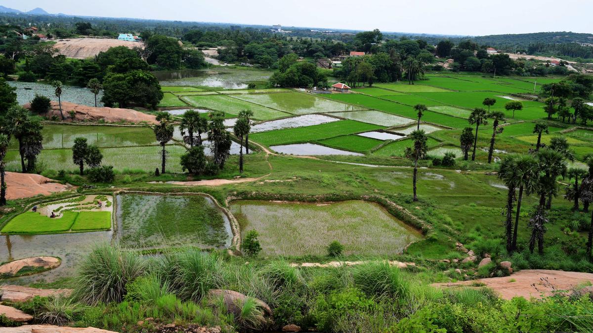 What’s the row over tungsten mining in Madurai?