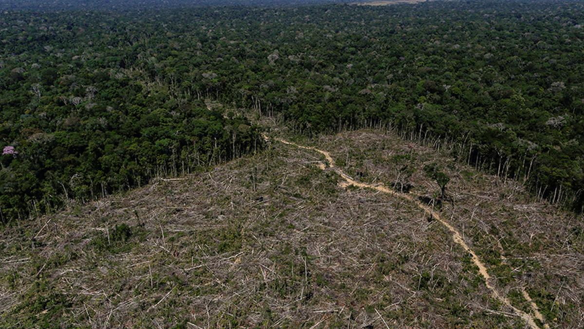 Lula calls for ‘agility’ in fighting mafias denuding Amazon rainforest