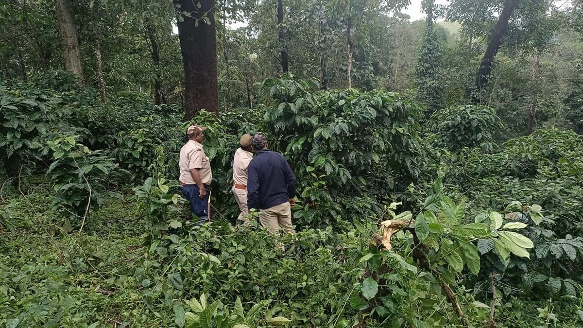 36 acres of forest encroachment cleared in Koppa