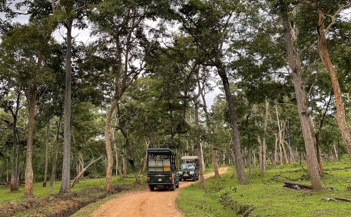 Farmers had expressed concern that increased safari trips were causing disturbance to wildlife, resulting in conflict situations in villages outside the forests. File photo. 