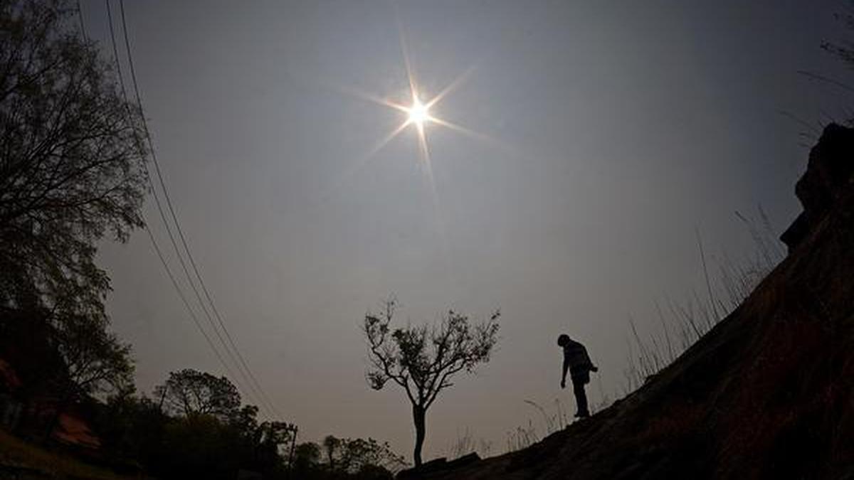 Kerala reels under intense heat; Palakkad crosses 40°C