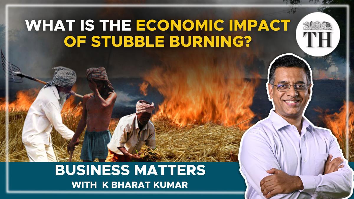 Business Matters | Why weren’t stubble burning and Delhi’s toxic haze such big news 15 years ago?