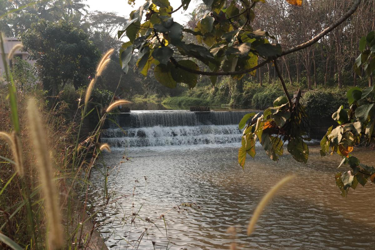 Check dam at Pirappamankad