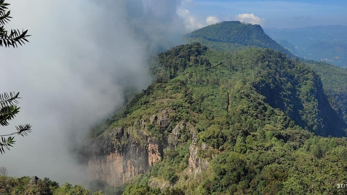 Conservationists flay plans to open up Nilgiris’s eco-sensitive Pakkasuran Malai to tourism