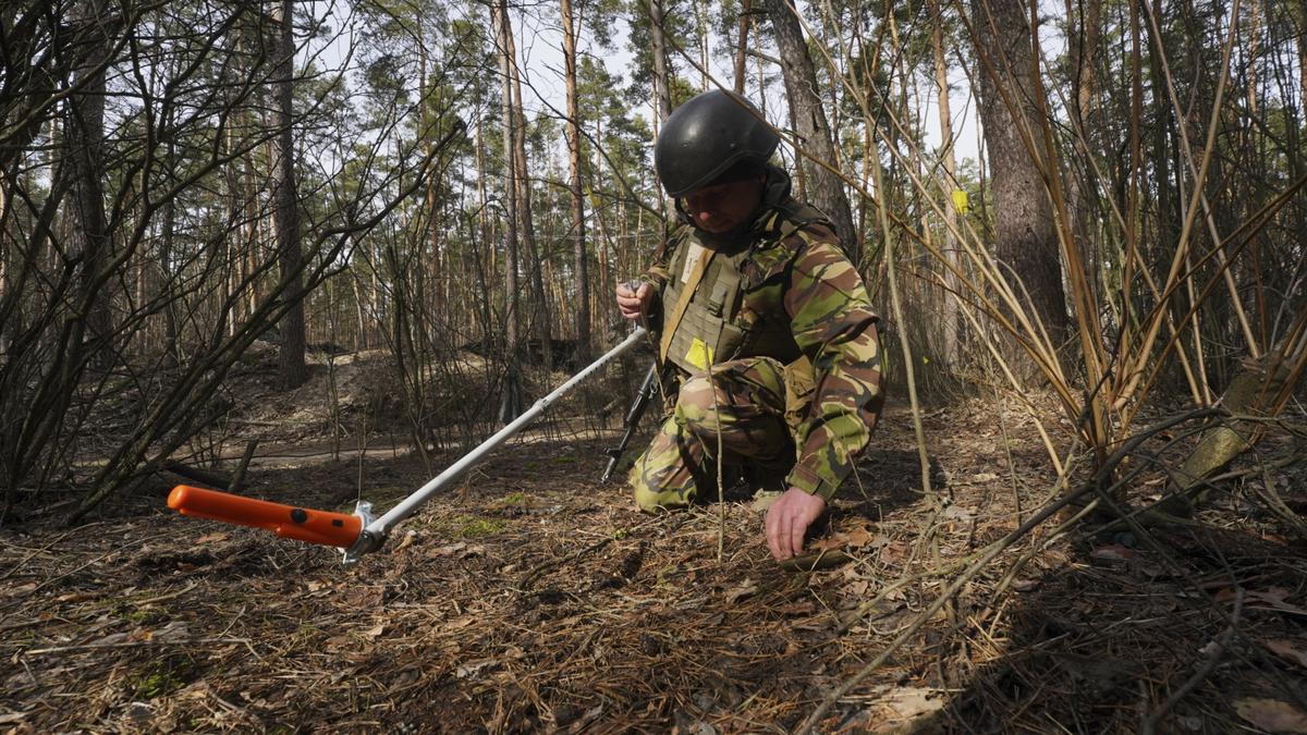 20 Indians sought help to return from battlefront: External Affairs Ministry